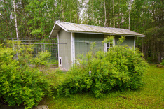 Kaukolantie 99, Tammela (Riihivalkama), Kuva 22, esikatselu