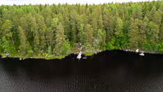 Haarankorventie 832, Tammela (Heinämaankulma), Kuva 29, esikatselu