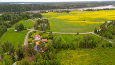 Toivonpolku 4, Tammela (Kaukjärvi), Kuva 38, esikatselu