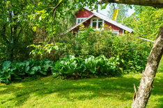 Kreiviläntie 103, Forssa (Matku), Kuva 26, esikatselu