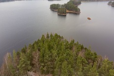 Koivuniementie 31, Imatra (Saarlampi), Kuva 11, esikatselu