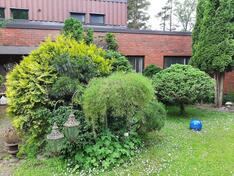 Caprintie 50, Lappeenranta (Tiuruniemi), Kuva 26, esikatselu