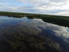 Ruohokarintie 270, Tornio (Ruohokari), Kuva 2, esikatselu