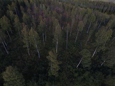 Ruohokarintie 270, Tornio (Ruohokari), Kuva 4, esikatselu