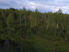 Ruohokarintie 270, Tornio (Ruohokari), Kuva 5, esikatselu
