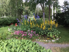 Lahdensuontie 49, Lapua (Hellanmaa), Kuva 3, esikatselu
