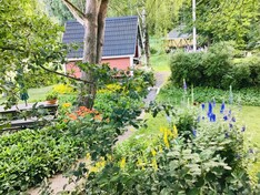 Lahdensuontie 49, Lapua (Hellanmaa), Kuva 12, esikatselu