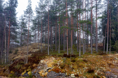 Käärmetie 38, Raasepori (Karjaa), Kuva 1, esikatselu