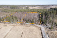 Lampintie , Ylivieska (Niemelänkylä), Kuva 3, esikatselu