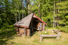Suonenjoentie 162, Äänekoski (Hirvaskangas), Kuva 18, esikatselu