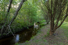 Suonenjoentie 162, Äänekoski (Hirvaskangas), Kuva 26, esikatselu