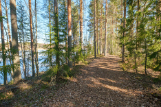 Kaiskarintie 77, Äänekoski (Kevätlahti), Kuva 15, esikatselu