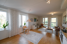 Wessmanninkatu 6, Äänekoski (Keskusta), Kuva 10, esikatselu