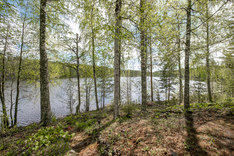 Majasaarentie 382, Saarijärvi (Majasaari), Kuva 22, esikatselu