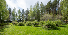 Majasaarentie 382, Saarijärvi (Majasaari), Kuva 41, esikatselu