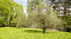 Majasaarentie 382, Saarijärvi (Majasaari), Kuva 45, esikatselu
