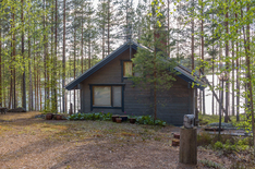 Haapakyläntie 960, Äänekoski (Sumiainen), Kuva 2, esikatselu