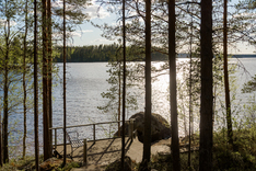 Haapakyläntie 960, Äänekoski (Sumiainen), Kuva 19, esikatselu