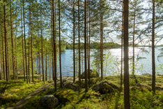 Haapakyläntie 960, Äänekoski (Sumiainen), Kuva 22, esikatselu