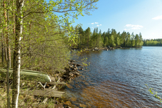 Haapakyläntie 960, Äänekoski (Sumiainen), Kuva 23, esikatselu