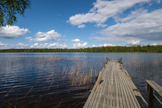 Paarmasniementie 281D, Viitasaari (Ilmolahti), Kuva 15, esikatselu