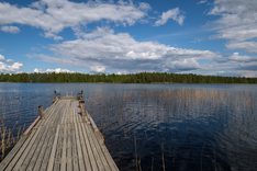 Paarmasniementie 281D, Viitasaari (Ilmolahti), Kuva 16, esikatselu