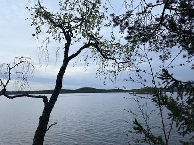Koivurannantie 118, Jyränkö, Heinola