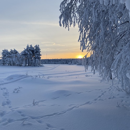 Rannassa venevalkama