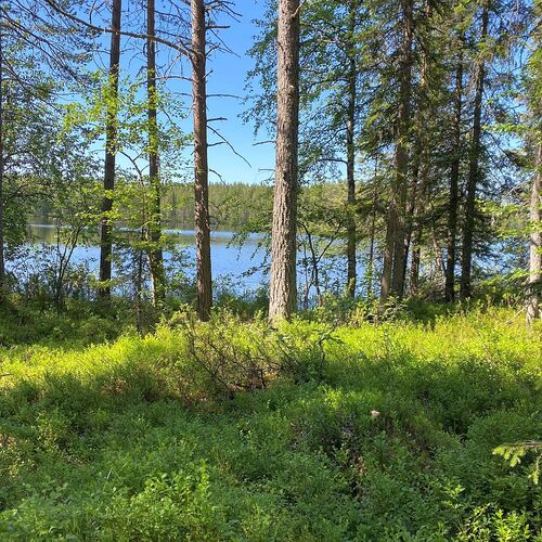 Vapaa-ajan tontti, Kylmäniementie, Kuusamo, Kärpänkylä Kylmäniemi, 3 600,00 m², 42 000,00 €