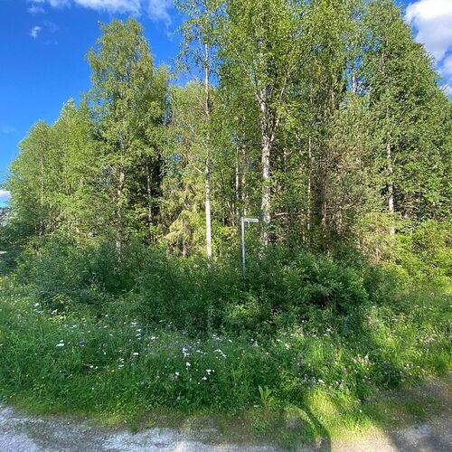 Omakotitalotontti, Tapiolantie 1, Kuusamo, Lahdentaus, 1 662,00 m², 15 000,00 €