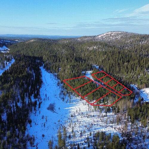 Hahmotelmaa tonttien sijainnista