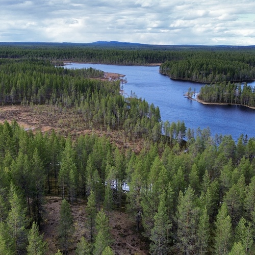 Vapaa-ajan tontti, Raviradantie, Kuusamo, Meskusvaara, 7 288,00 m², 29 500,00 €