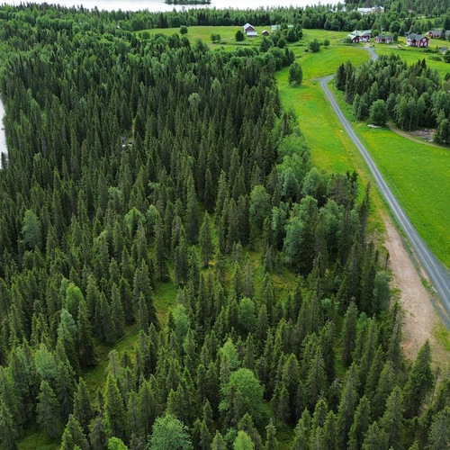 Vapaa-ajan tontti, Ikihongantie, Rukatunturi, Virkkula Kuusamo, 5 600,00 m², 24 500,00 €