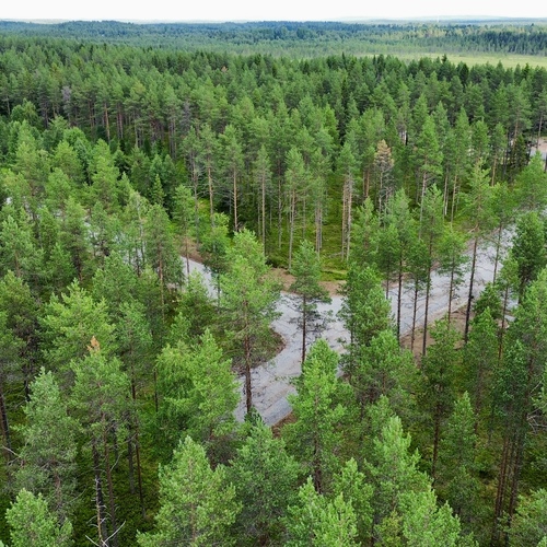 Omakotitalotontti, Pentintie, Kuusamo, Maikun alue, 1 417,00 m², 21 200,00 €