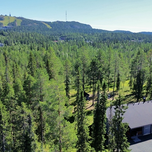 Lomahuoneisto, Moisasenlammentie 10 A, osake 4, Rukatunturi, Ruka Rukatunturi, Kesäjärvi, 3h + s + parvi, 82,00 m², 39 500,00 €