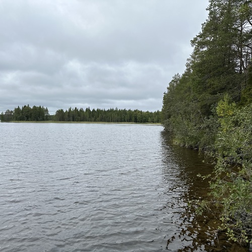 Vapaa-ajan tontti, Sirolantie, Kuusamo, Kemilä, 8 831,00 m², 25 000,00 €