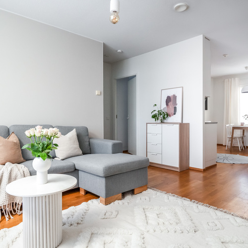 Luhtitalo, Repolaisentie 12, Oulu, Hiironen, 3h, k, s, 69 m², 158 000 €