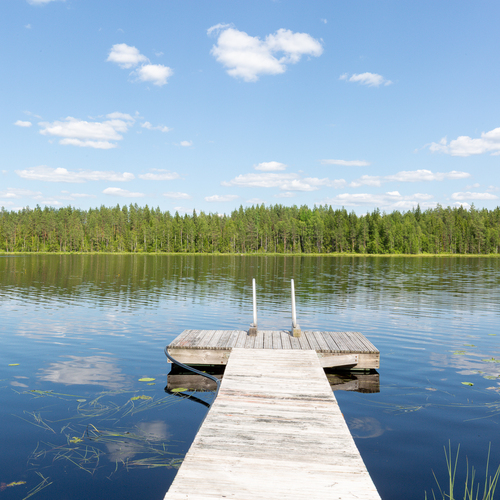 Mökki tai huvila, Peräjärventie 226, 39700, Parkano, 1h, k, s, vierasmaja, puucee, paviljonki., 25,00 m², 76 000,00 €
