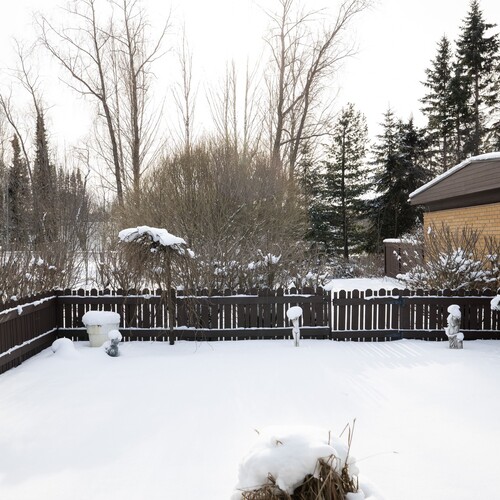 Iso aidattu takapiha on vehreä ja suojainen kesällä