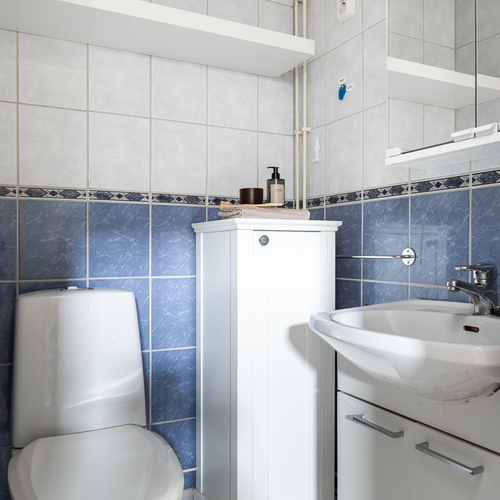 Erillinen wc