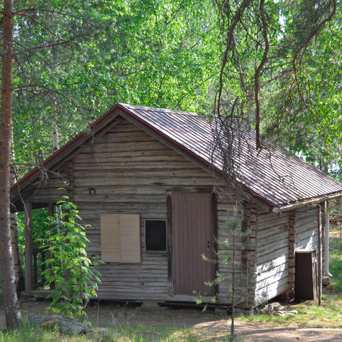 hirsiaitta/ puuvaja
