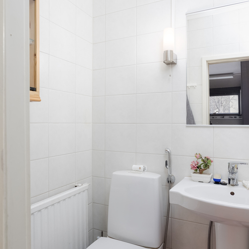 Erillinen WC