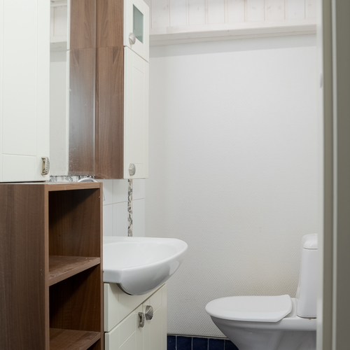 erillinen WC