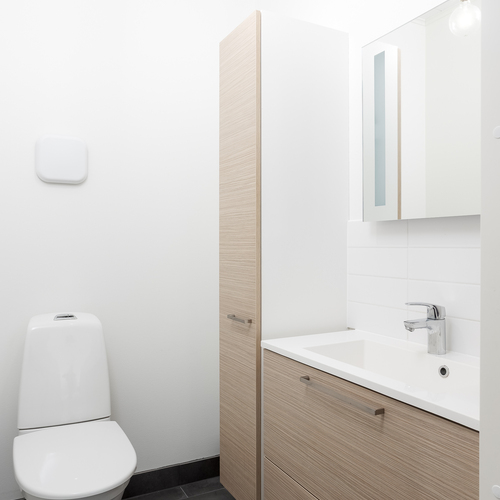 Erillinen WC