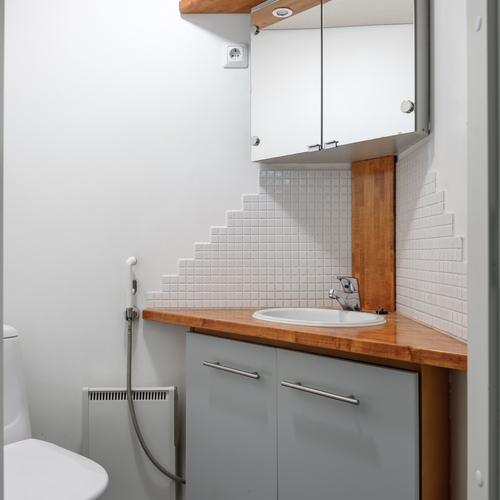 Erillinen wc