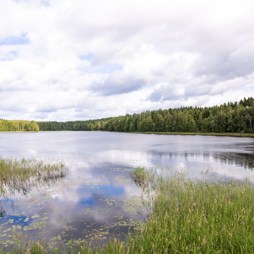 Kurjenjärvi