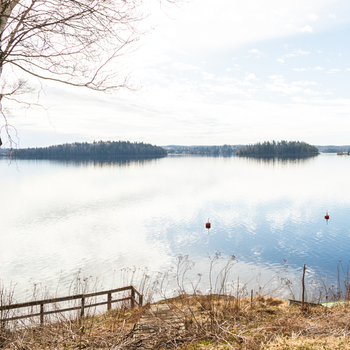 Näkymää takapihalta