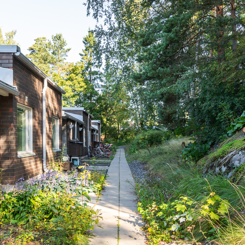 Yläpihalta