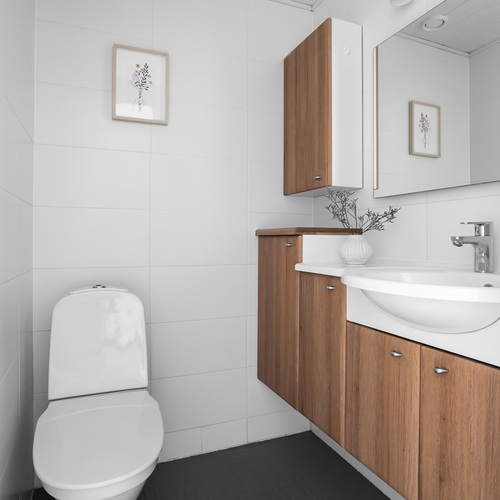 Erillinen wc