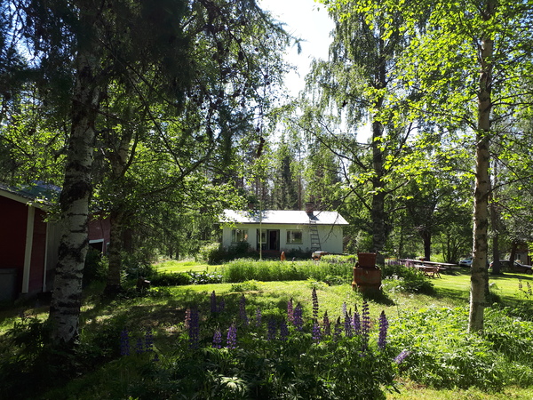 Pahkantie 310, Kaavi (Kortteiskylä)
